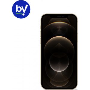 Смартфон Apple iPhone 12 Pro 256GB Восстановленный by Breezy, грейд B
